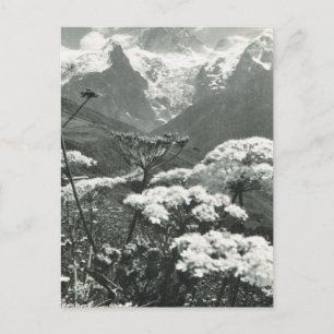 Postal Francia vintage, Chamonix "Mont Blanc"