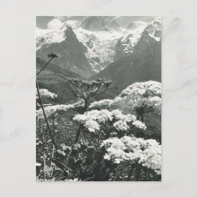 Postal Francia vintage, Chamonix "Mont Blanc" (Anverso)