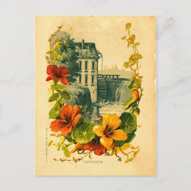 Postal franco vintage escénica/nasturtio (Anverso)