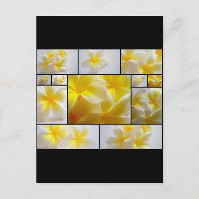 Postal Frangipanis (Anverso)