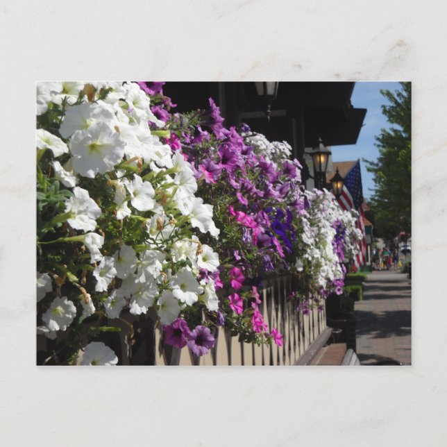 Postal Frankenmuth, Michigan (Anverso)