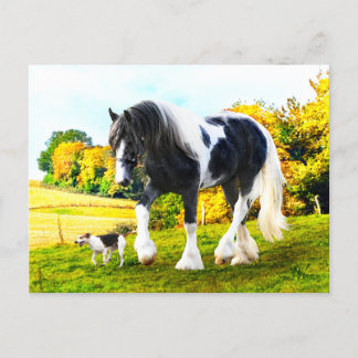 Postal "Frankie & Tessa"