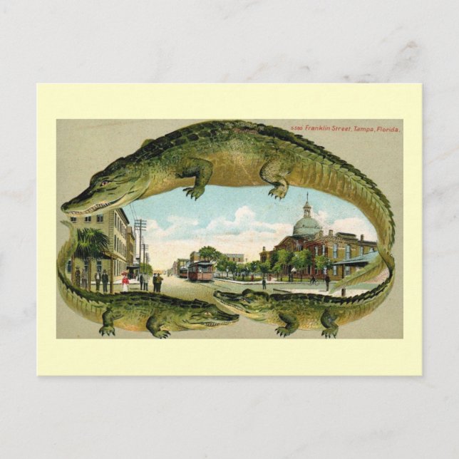 Postal Franklin St., Tampa, Florida Vintage (Anverso)