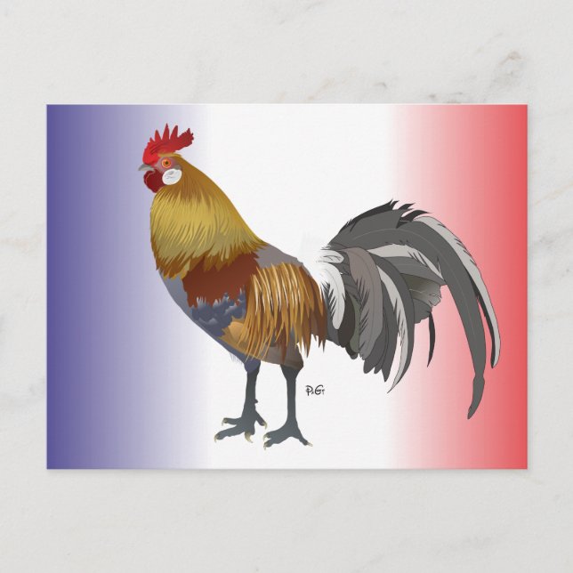 Postal Frankreich - Francia Postkarte (Anverso)