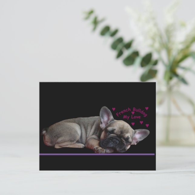 Postal Französische Bulldogge  (Anverso de pie)