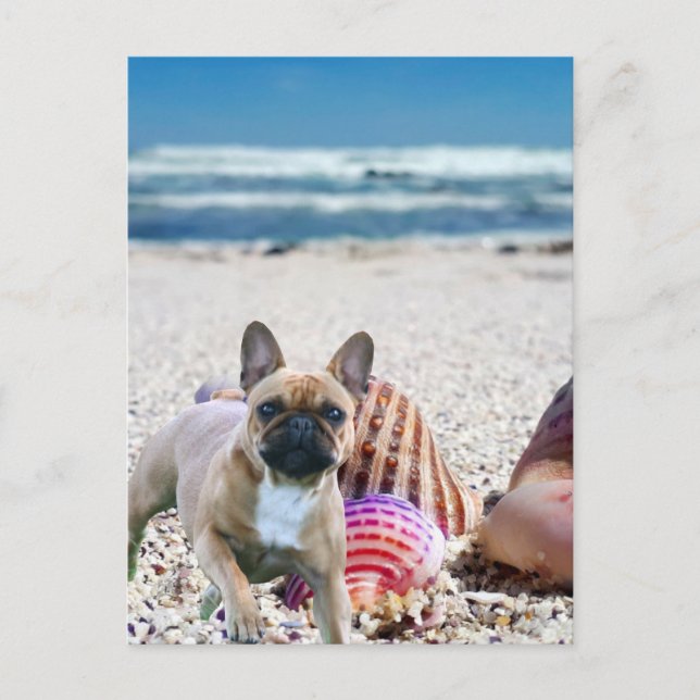 Postal Französische Bulldogge am Strand  Postkarte (Anverso)