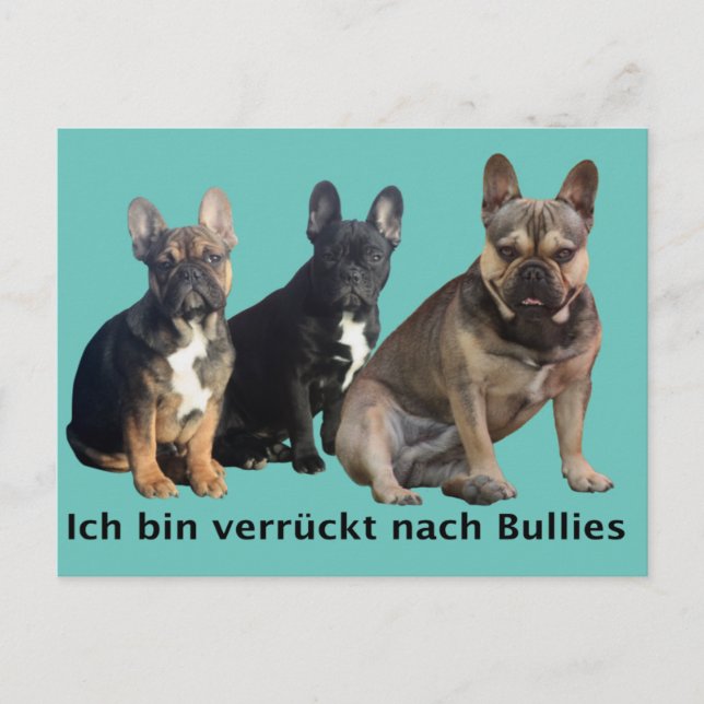 Postal Französische Bulldogge drei Freunde French Bulldog (Anverso)