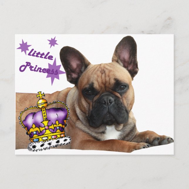 Postal Französische Bulldogge Karte (Anverso)