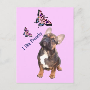 Postal Französische Bulldogge Postkarte