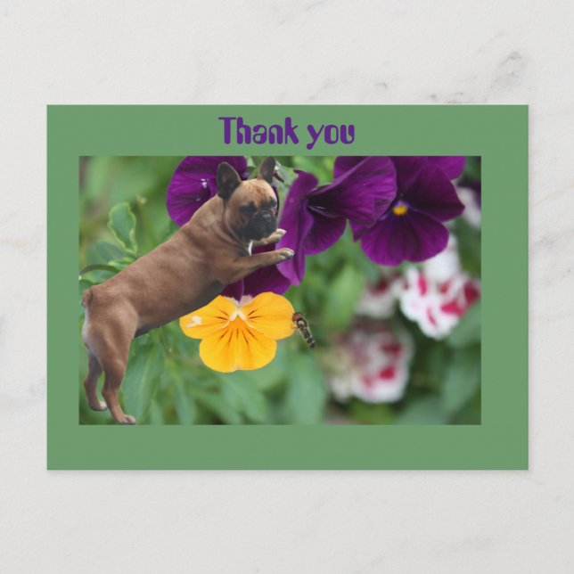 Postal Französische Bulldogge Postkarte (Anverso)