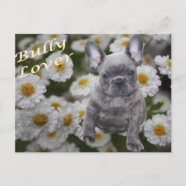 Postal Französische Bulldogge Postkarte (Anverso)