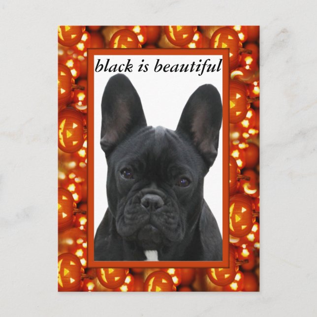 Postal Französische Bulldogge Postkarte (Anverso)