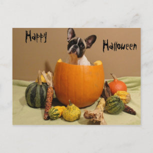 Postal Französische Bulldoggen Postkarte Halloween