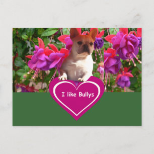 Postal Französische Bulldoggen Postkarten