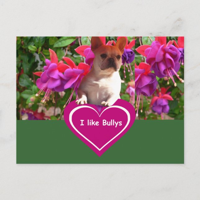 Postal Französische Bulldoggen Postkarten (Anverso)