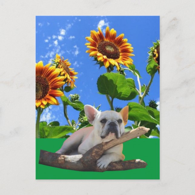 Postal Französische Bulldoggen Sonnenblume French Bulldog (Anverso)