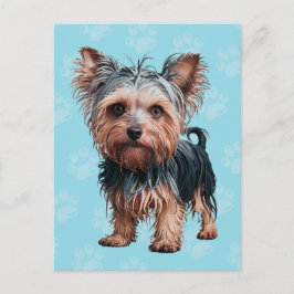 Postal Frazzled Yorkie Dog Postcard Yorkshire Terrier