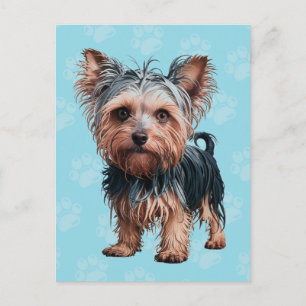 Postal Frazzled Yorkie Dog Postcard Yorkshire Terrier