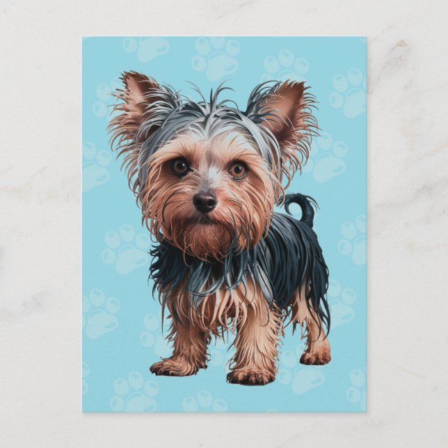 Postal Frazzled Yorkie Dog Postcard Yorkshire Terrier (Anverso)