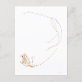 Postal Freesia seca 1