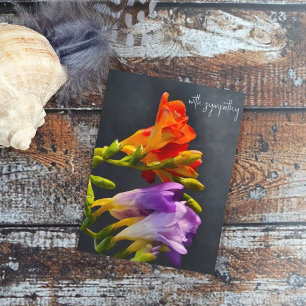 Postal Freesia sobre un fondo oscuro. Con simpatía