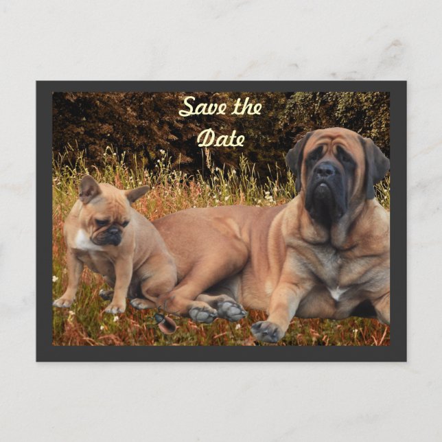 Postal French Bulldog und Mastiff Freunde (Anverso)