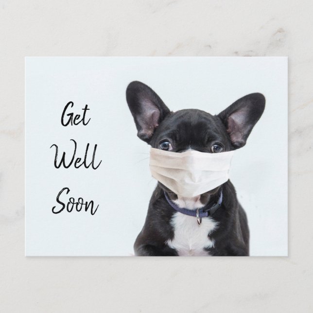 Postal Frenchie con mascarilla para recuperarse pronto (Anverso)