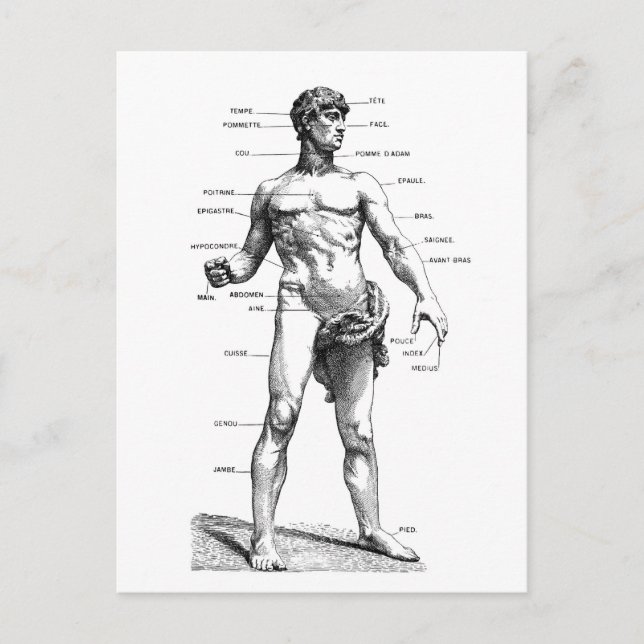 Postal Frente masculino (Anverso)