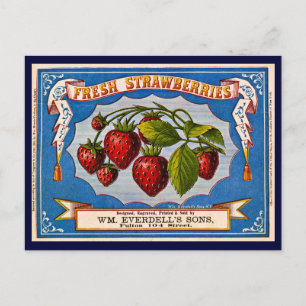Postal Fresa de fresa de época 1868