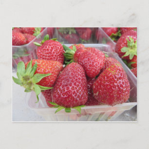 Postal Fresas