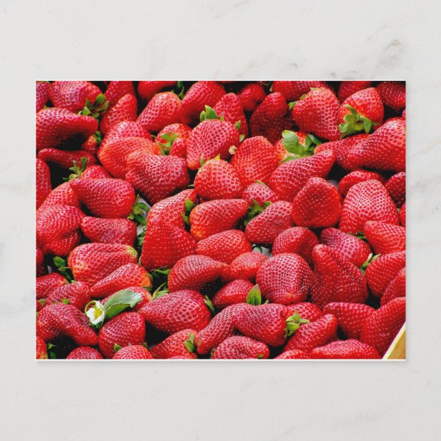 Postal Fresas (Anverso)