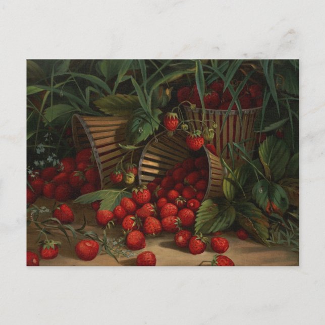 Postal Fresas (Anverso)
