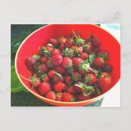 Postal Fresas