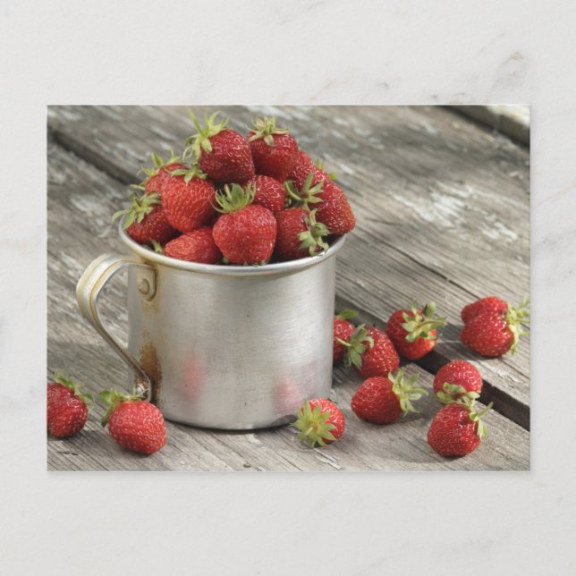 Postal fresas de jardín en mug (Anverso)