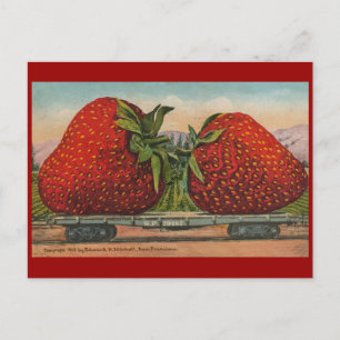 Postal Fresas Gigante Fruto de la Antigüedad