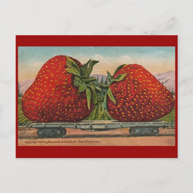 Postal Fresas Gigante Fruto de la Antigüedad (Anverso)
