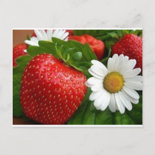 Postal Fresas y dias