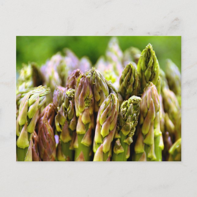 Postal ¡Fresco! Asparagus Postcard (Anverso)