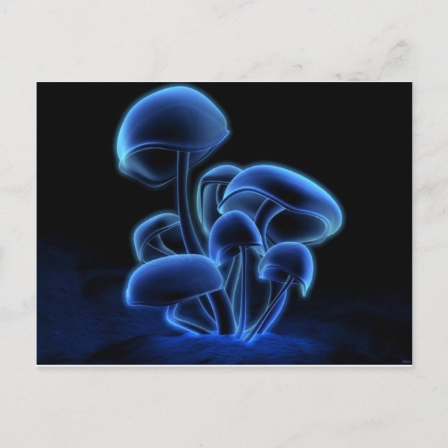 Postal Fresco, Funky, Fashiable, Retro, Guay (Anverso)