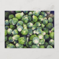 Fresco verde brillante brotes de Bruselas