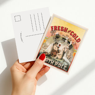 Postal Fresco y Frío - Cerveza Directa desde el Polo Nort