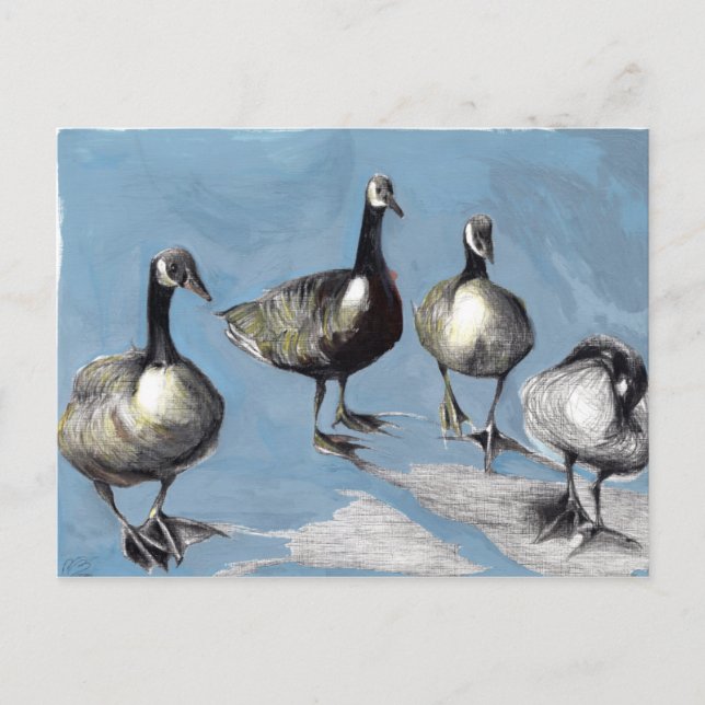 Postal Friendly Canada Geese 2012 (Anverso)