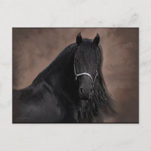 Postal Friesian Flair