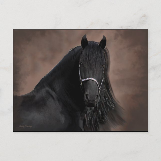 Postal Friesian Flair (Anverso)