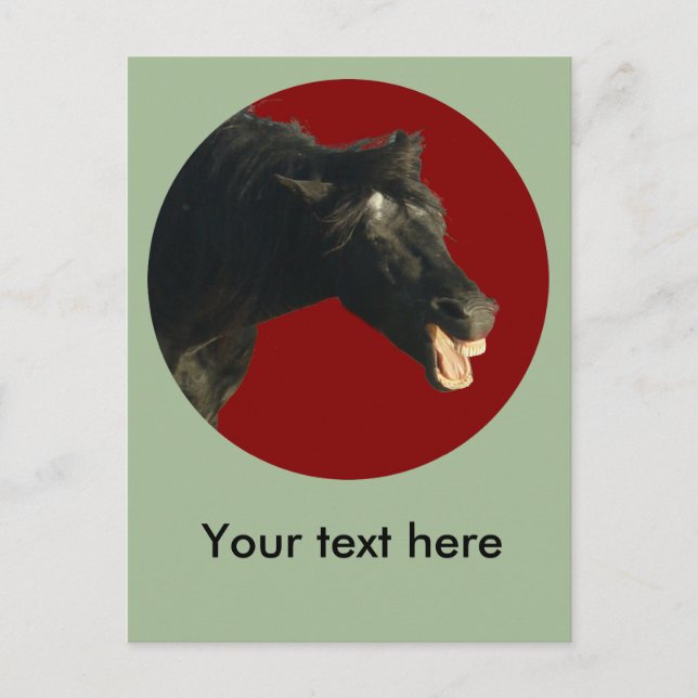 Postal Friesian Joker#1 (Anverso)