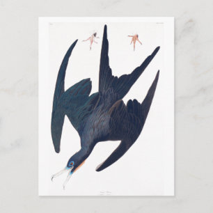 Postal Frigate Penguin