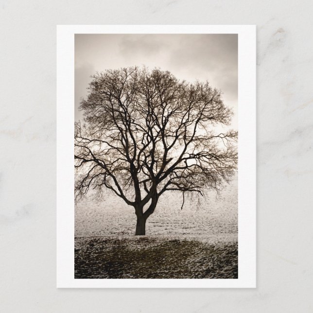 Postal frío y encantador (Anverso)