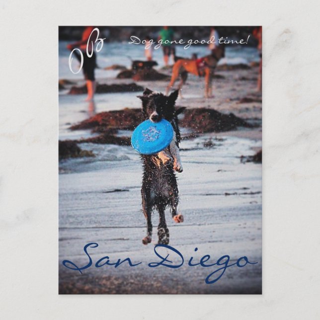 Postal Frisbee Dog (Anverso)