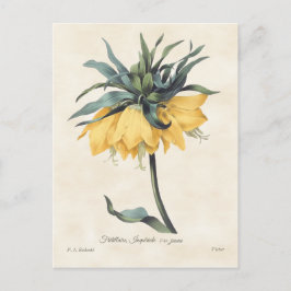 Postal Fritillaria Amarilla Vintage Botánica