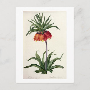 Postal Fritillaria Imperialis de "Les Lilacees", 1802-
